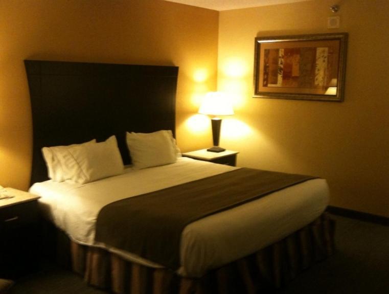 Hotel Indigo Rochester - Mayo Clinic Area Zimmer foto